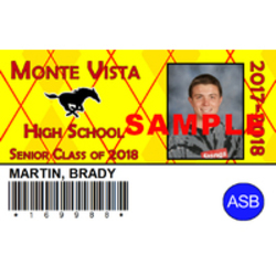 ID Card:  Senior Gold Card + Yearbook  Product Image